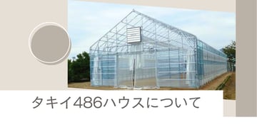 単管パイプでコストと機能を両立？！直径48.6mmのパイプを使用した"タキイ486ハウス"をご紹介。
