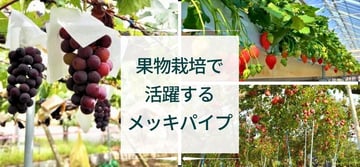 "果物栽培"でも活躍するメッキパイプ！！その代表的な用途や当社のオススメ製品について解説。